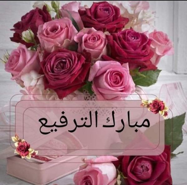 تأملات محمد اللصاصمة  ..  مبارك الترفيع