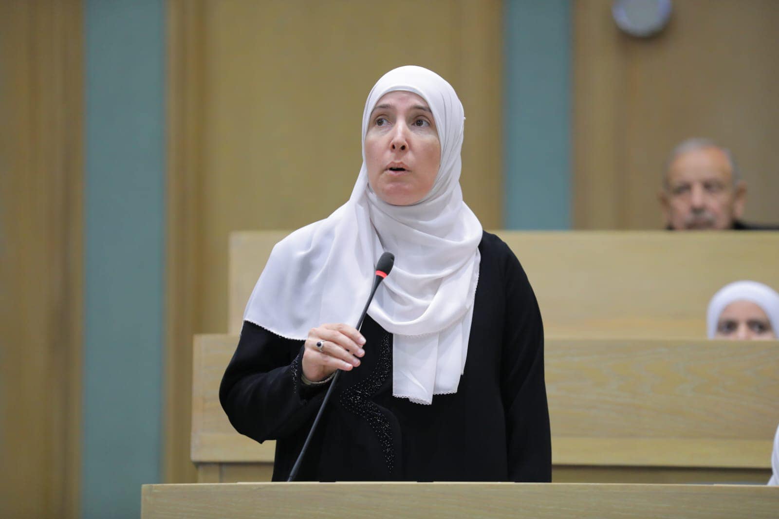 النائب أبو هنية تسأل الحكومة عن خطط تأمين الطاقة للصناعة في ظل انقطاع الغاز