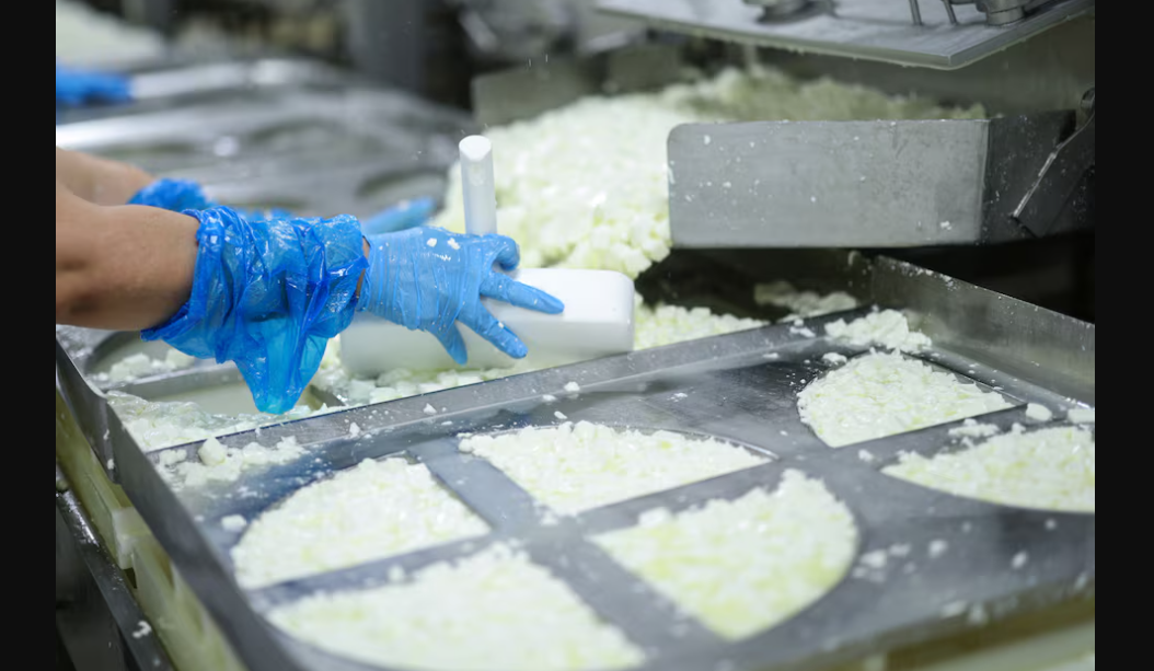 الجبن القريش أم الحليب: أيهما أفضل لصحة العظام؟