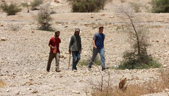 مستعمرون يقتحمون قرية عرب المليحات شمال غرب أريحا 
