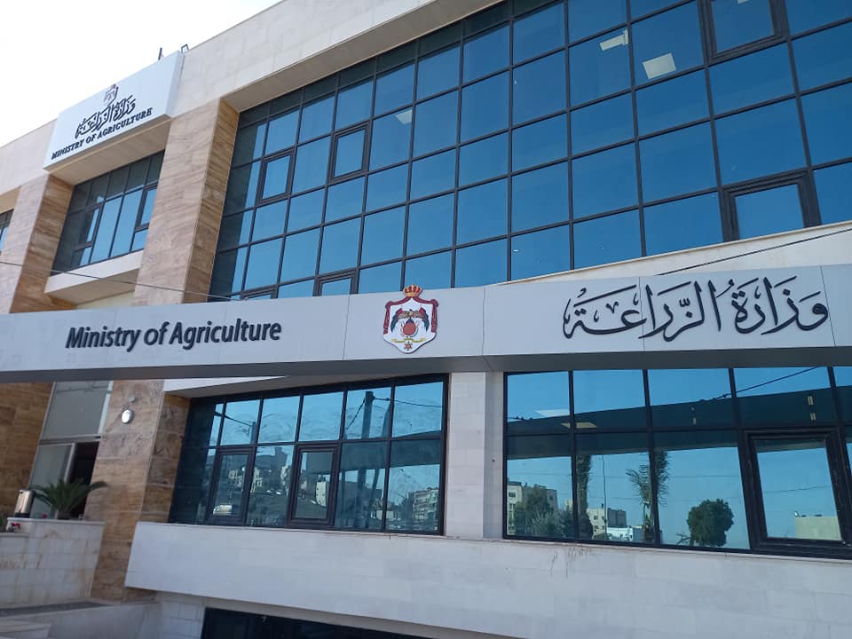 الزراعة: تحديد قيمة دعم فائض إنتاج البندورة وآلية الصرف خلال الأيام المقبلة