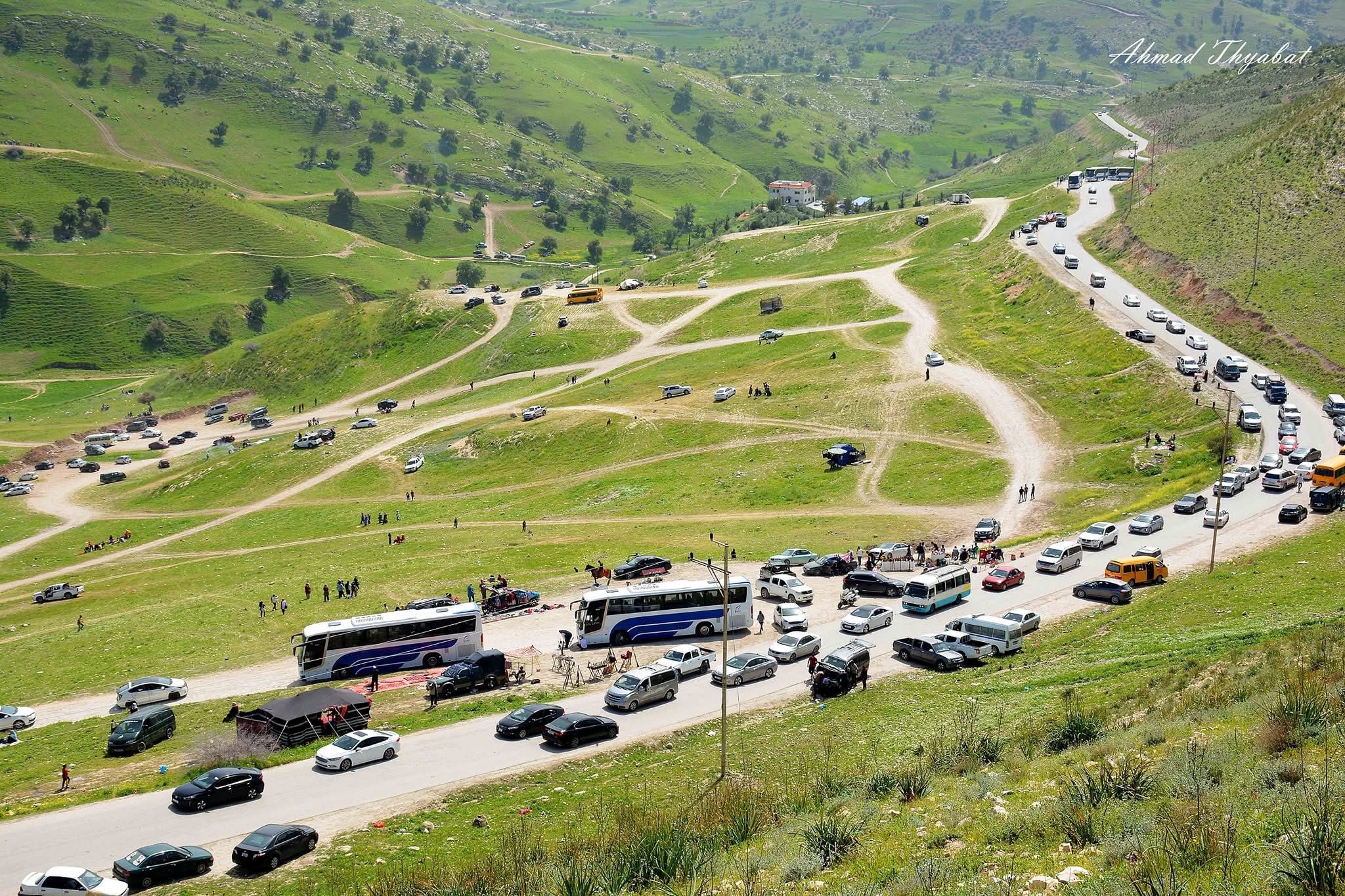 جريمة في حضن الربيع ..  كيف حولت السيارات "أم النمل" من جنة خضراء إلى مسارات طينية؟