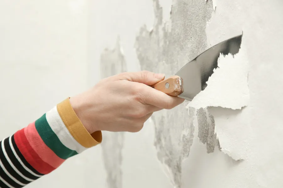 7 علامات خفية قبل ظهور العفن بمنزلكِ