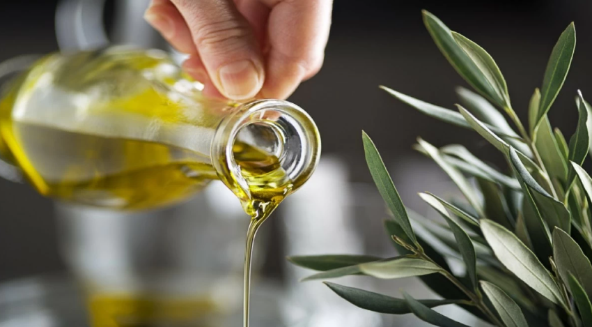 العمد: فحوصات دقيقة لضمان جودة زيت الزيتون في مهرجان الزيتون 25