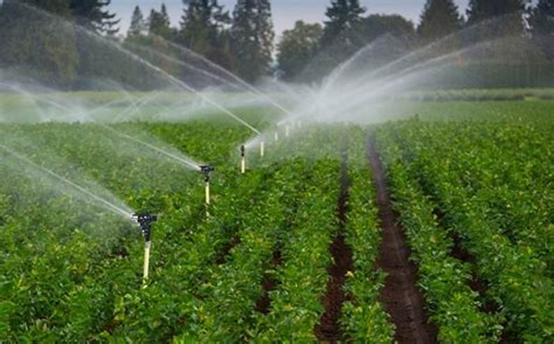الأردن يواجه التغير المناخي بـــ86 مشروعا للنمو الأخضر