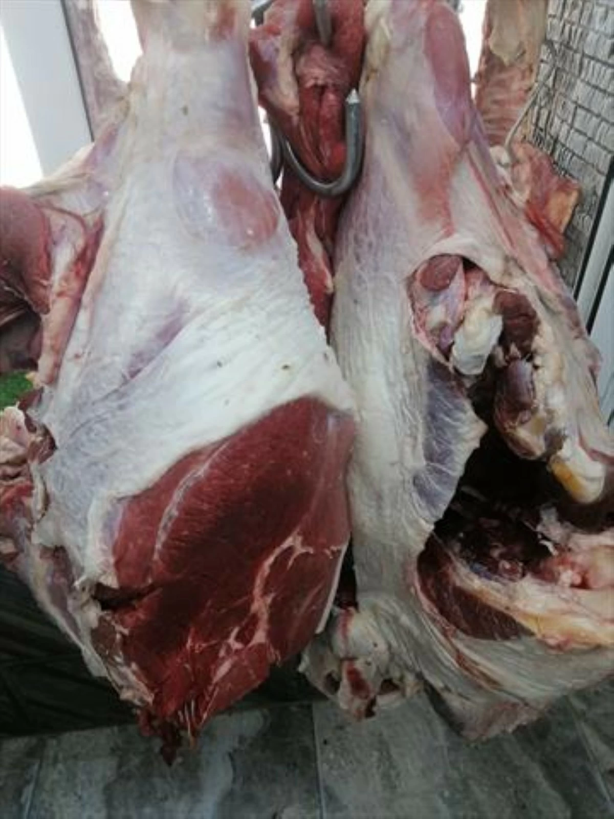 بلدية إربد: إتلاف 284 كيلوغراماً لحوم مجمدة لبيعها كطازجة وتشديد الجولات 