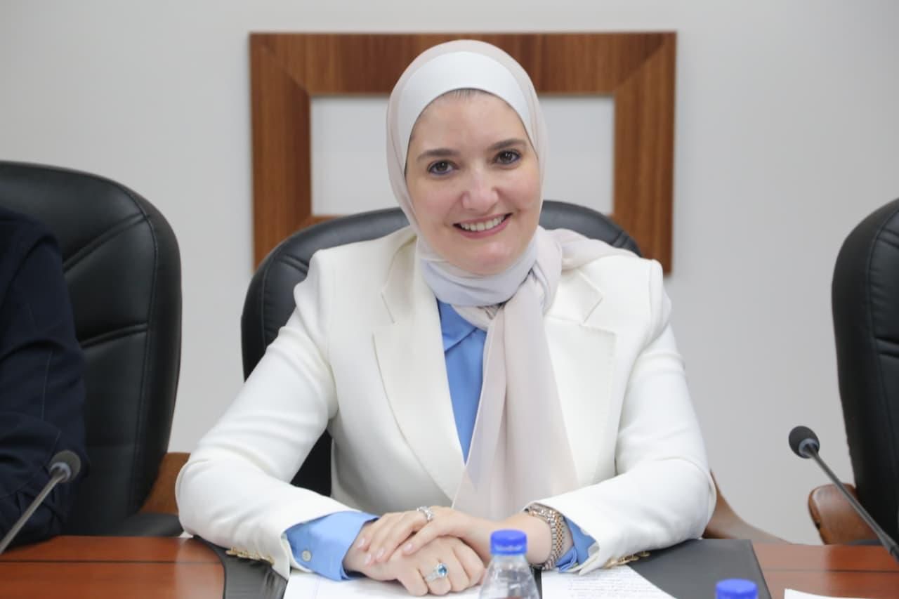 ناصر الدين: تأجيل مناقشة “الضمان” خطوة صحيحة والأولوية لحماية المواطنين