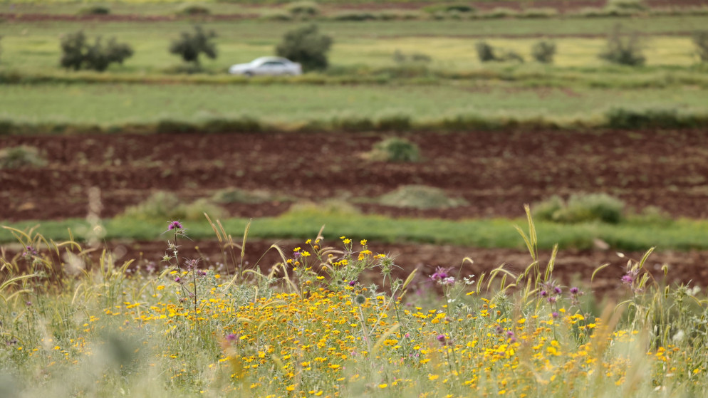 "الأمن وإدارة الأزمات" يصدر تحذيرات للمتنزهين خلال العطلة 