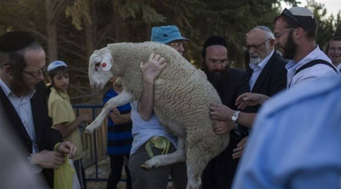 بين الإغلاق و"ذبح القُربان" ..  الأقصى يُهوَّد  