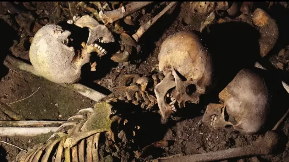 سرقة رفات وجماجم… تفاصيل واحدة من أخطر الجرائم الأميركية  