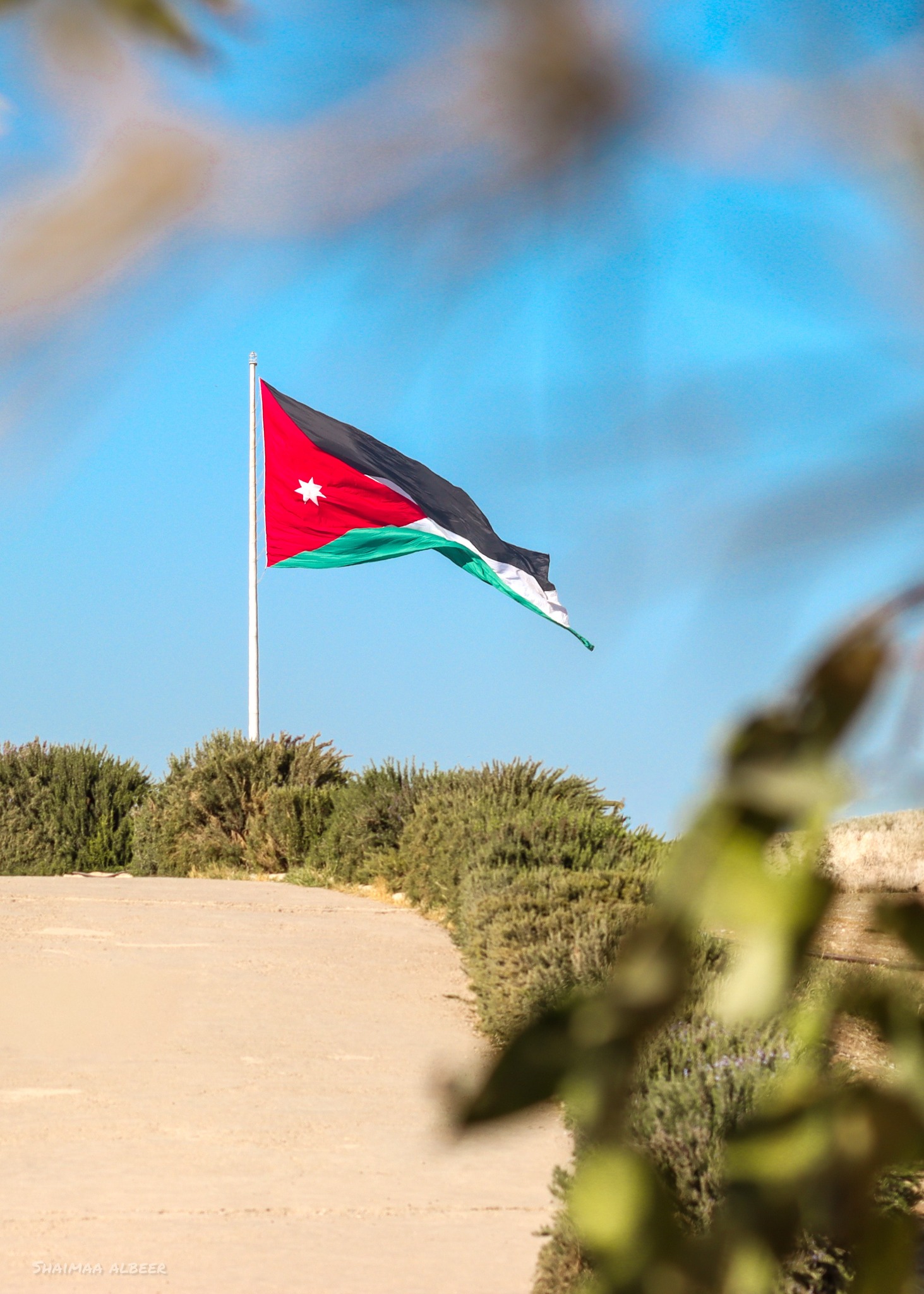 المدعي العام يقرر توقيف السيدة التي أساءت ليوم العلم عن جنحة القيام قولا بتحقير العلم الأردني