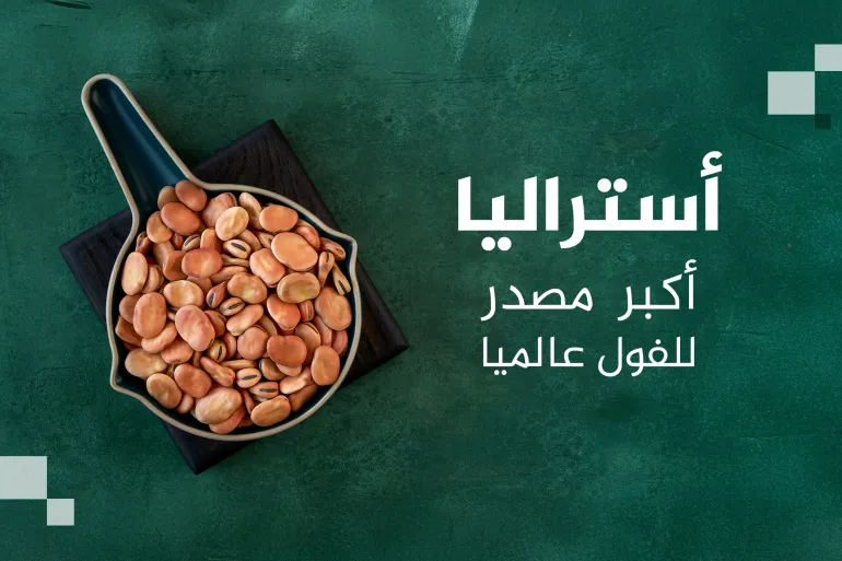 أكبر 10 دول منتجة ومصدرة للفول بالعالم ..  بينها دولة عربية