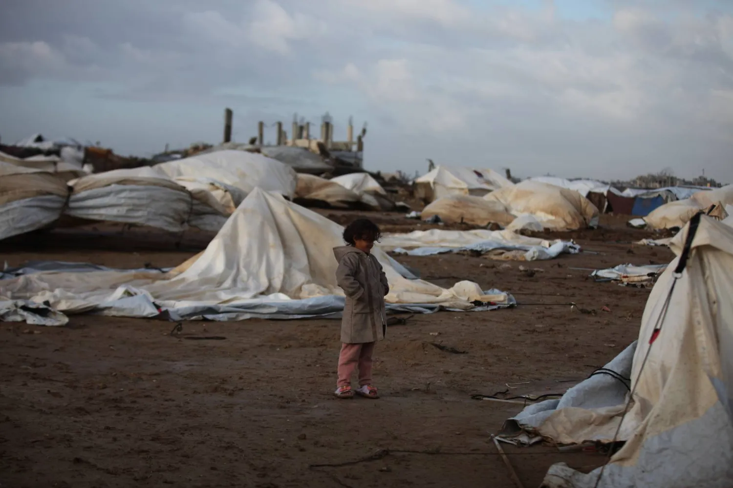 الأمم المتحدة: مقتل 100 طفل على الأقل في غزة منذ وقف النار