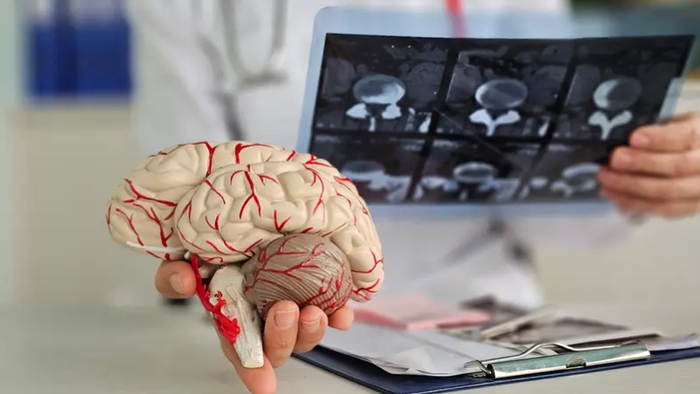 احذر ..  عادتان يوميتان تُلحقان الضرر بخلايا الدماغ مع مرور الوقت