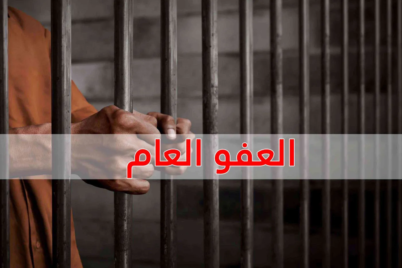 ما آخر التطورات المهمة حول العفو العام؟