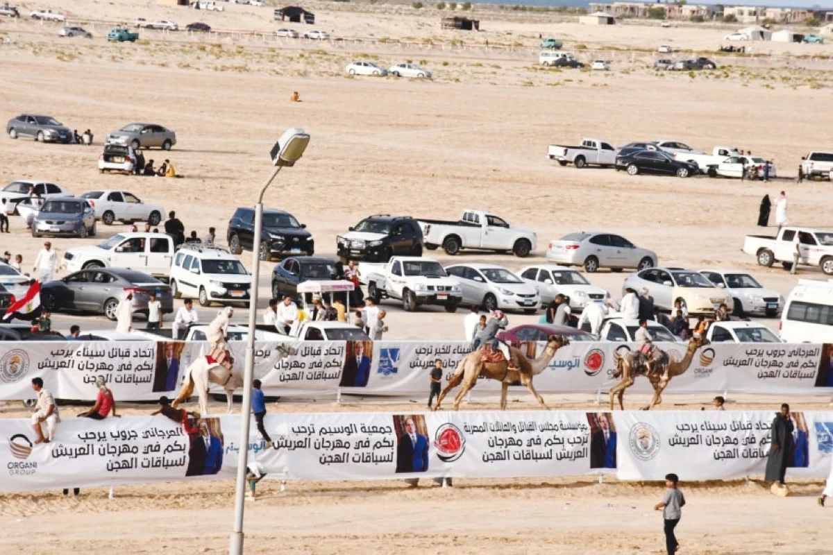 »الهجن الأردنية« حاضرة بقوة في سباق العريش