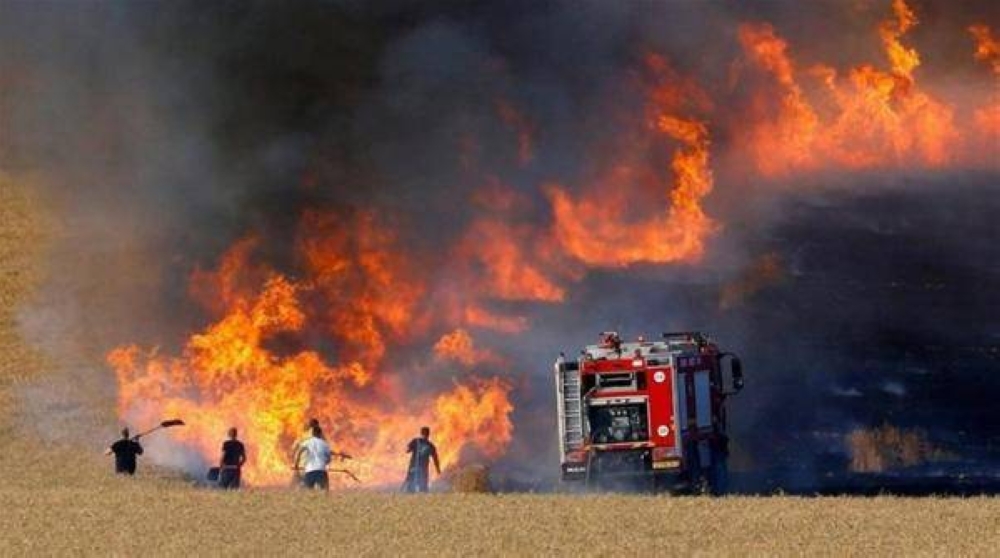  900 حريق أعشاب ومحاصيل زراعية نهاية الأسبوع الماضي
