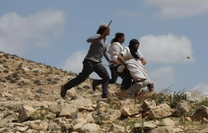 مستعمرون يهاجمون قرية شلال العوجا شمال أريحا ويهددون بإحراق الممتلكات