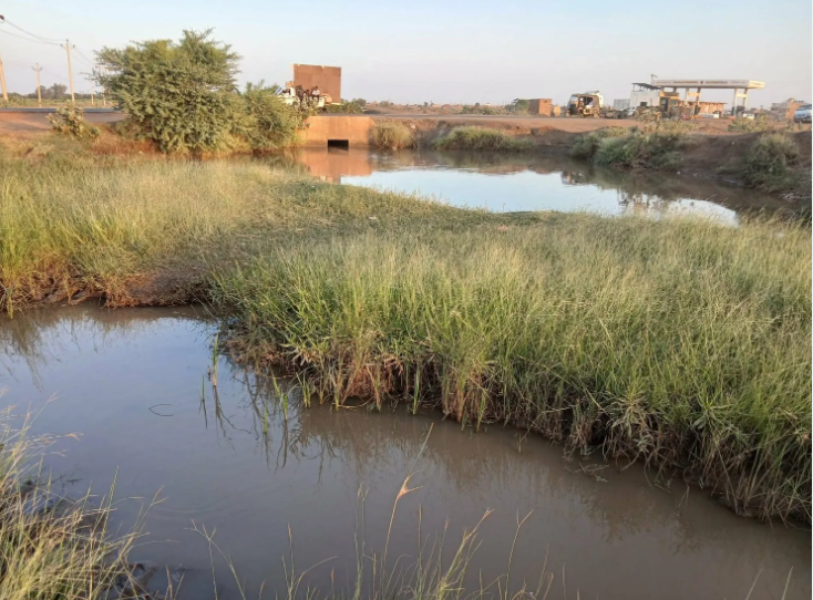 كيف دمّرت الحرب والسياسة أكبر مشروع زراعي في السودان؟
