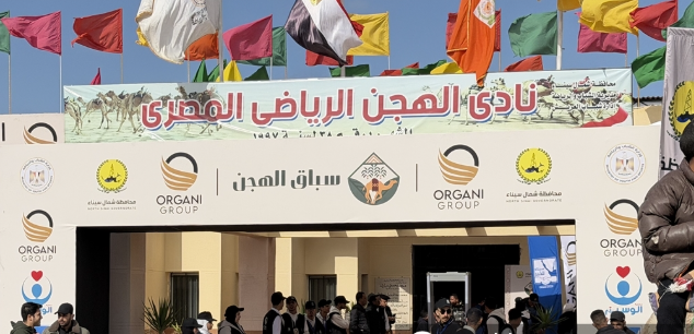 اختتام مهرجان سباقات الهجن في مدينة العريش المصرية