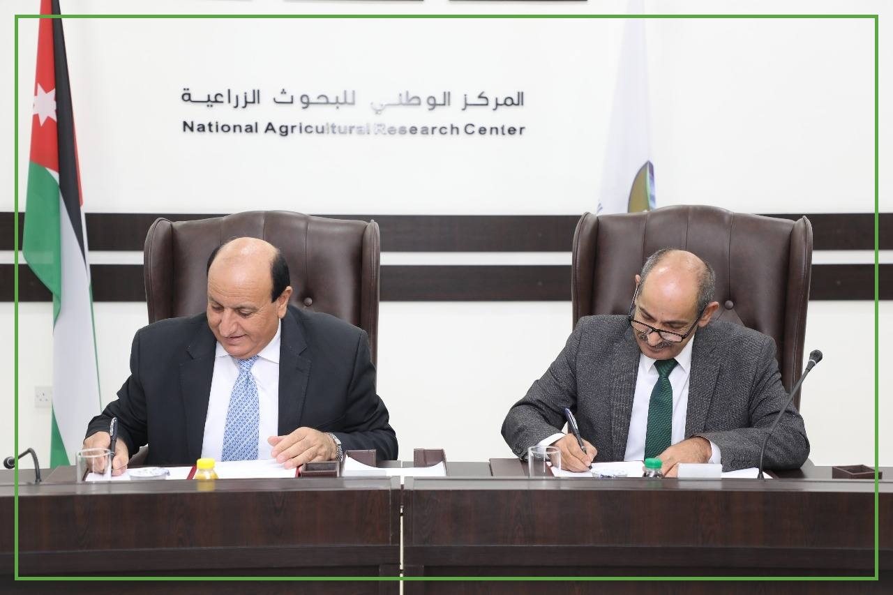 مذكرة تعاون بين "المهندسين الزراعيين" و"البحوث الزراعية" لتدريب وتأهيل حديثي التخرج