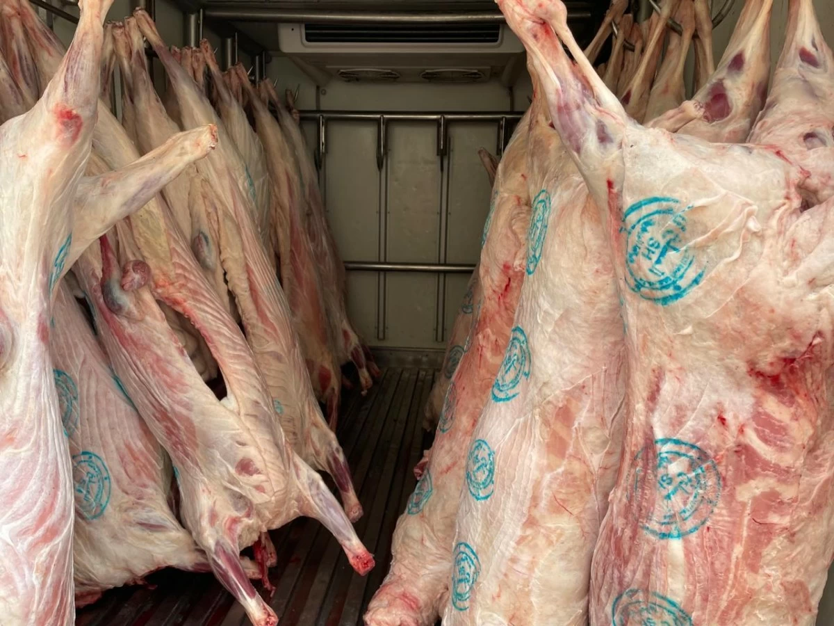 "سلطة العقبة" تعلن جاهزية المسلخ واستمرار الحملات الرقابية