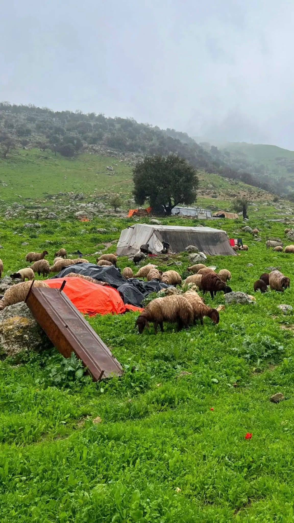 في مواسم الخير ..  هل تنخفض الأسعار أم تبقى رهينة المبررات؟ 