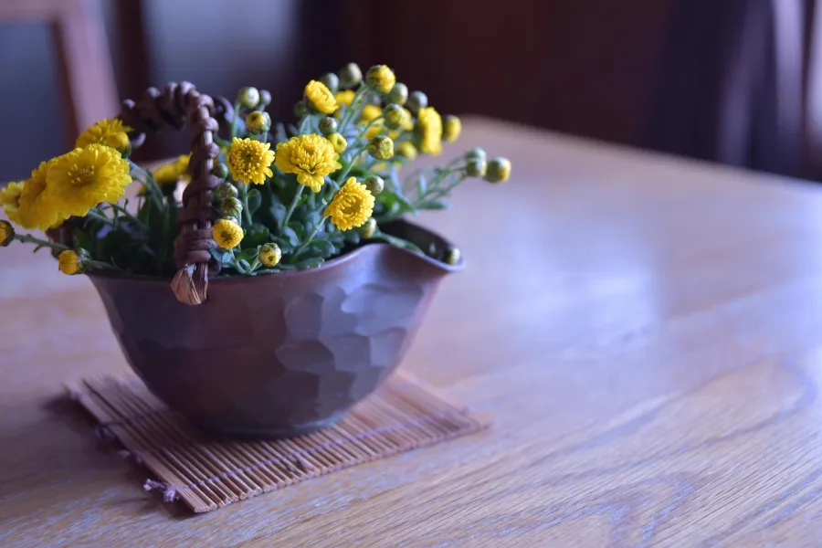 أفضل 7 نباتات للقضاء على النمل ..  ازرعيها لنتيجة مضمونة بعيداً عن المبيدات