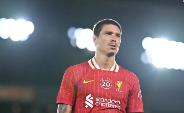 الهلال يضع مشروعه أمام داروين نونيز