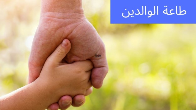  حدود طاعة الولد لوالديه