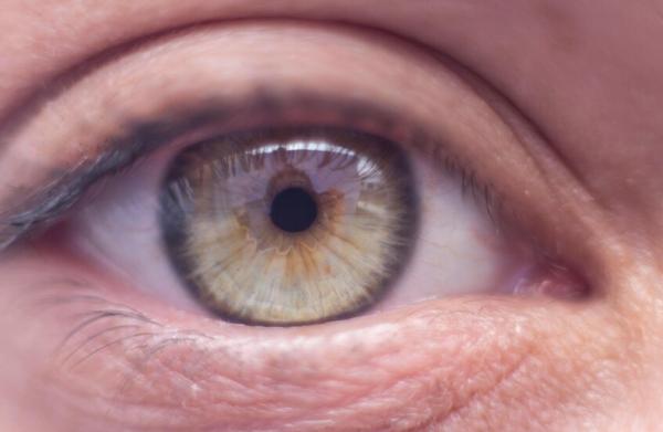 مواد نباتية طبيعية تساعد على حماية البصر