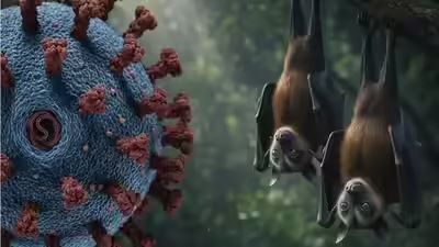 الطراونة فيروس نيباه بعيد عنا جغرافيا ً