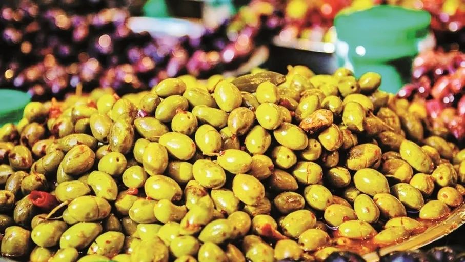 الرصيع في عجلون ..  موسم زيتون يحفظ نكهة التراث