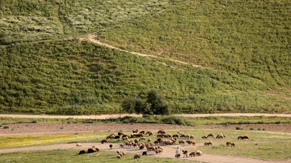 انخفاض طفيف في درجات الحرارة وأجواء باردة نسبيا الأربعاء