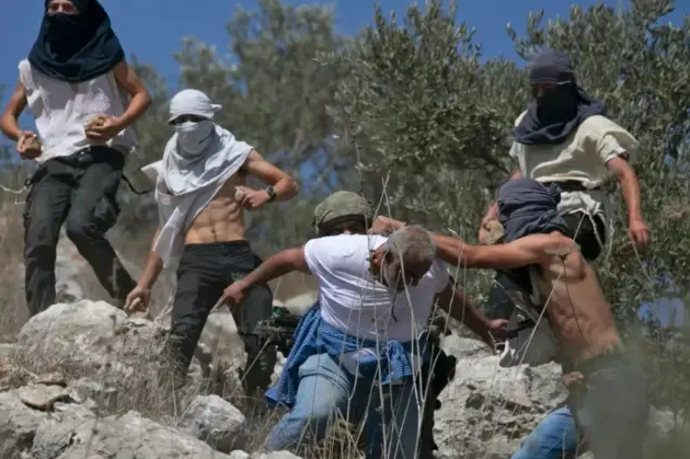 الضفة الغربية تغلي  ..  وحرب "الزيتون" مستمرة