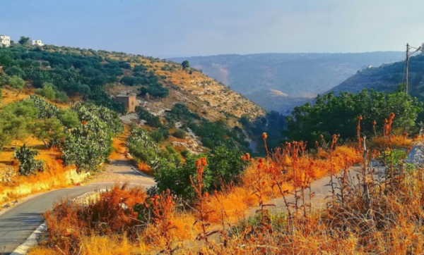 الأربعاء  ..  طقس لطيف ومعتدل  ..  ورياح مثيرة للغبار أحياناً