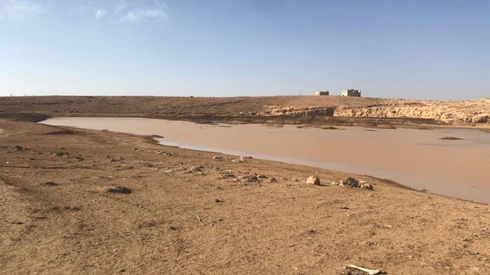 الموسم المطري ينعش قطاعي الزراعة والمياه في البادية الشمالية الغربية 