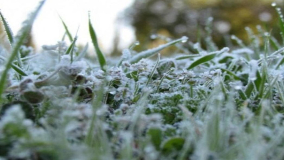 الزراعة تحذر من الصقيع وتوجه لاتخاذ الإجراءات الوقائية