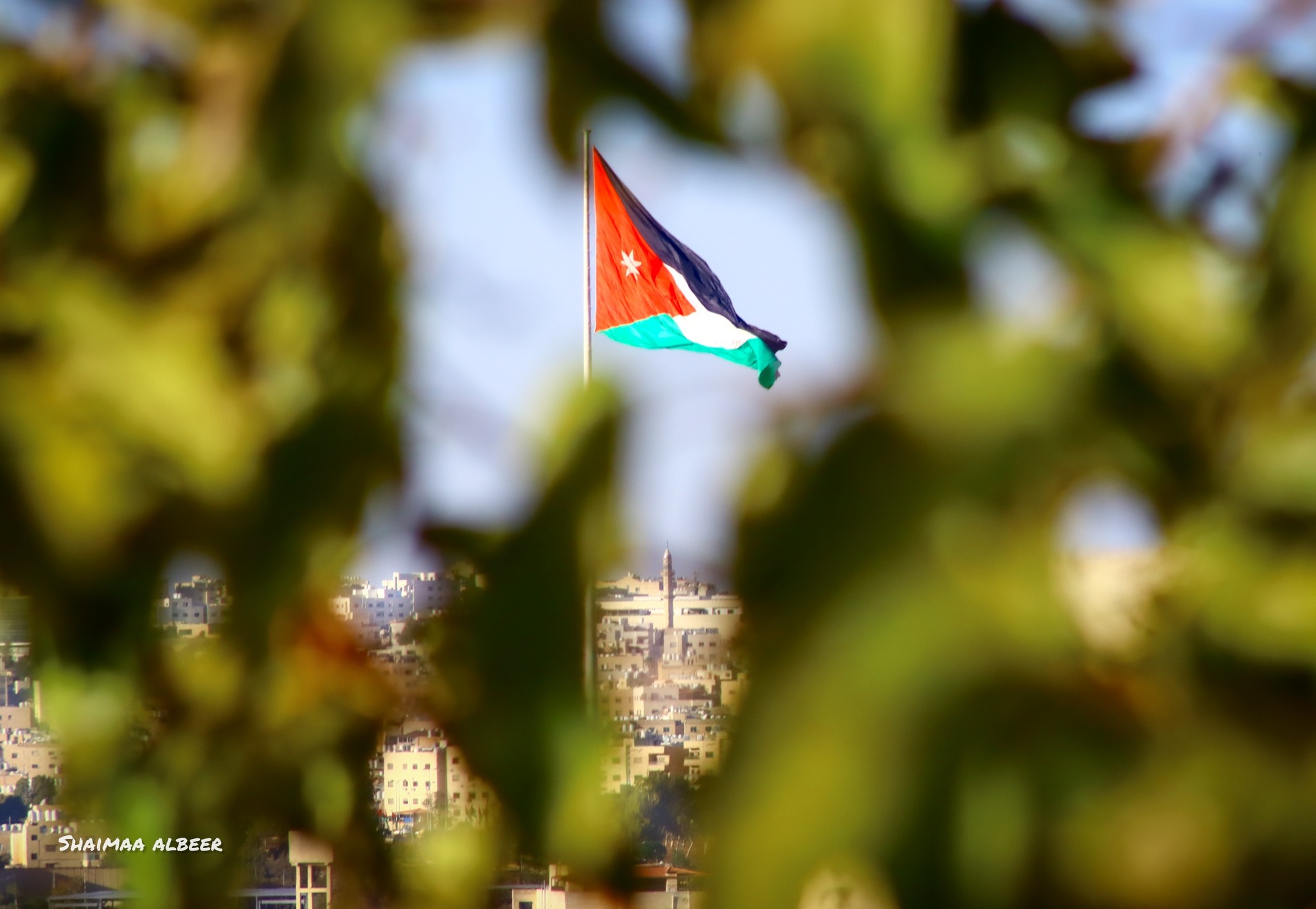 عشيرة بني ليث: استنكار للإساءة للعلم من قبل أحدى فتياتها وتوضيح لملابسات الحادثة