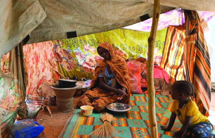 ناجون من الفاشر: رأينا جثثاً تتدلى من الأشجار