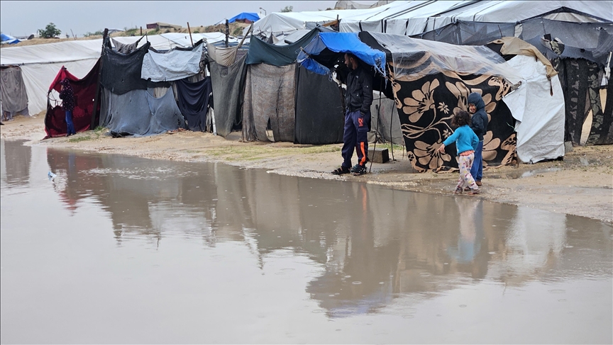 أرامل غزة ..  حياة قاسية في خيام بالية جراء حرب الإبادة