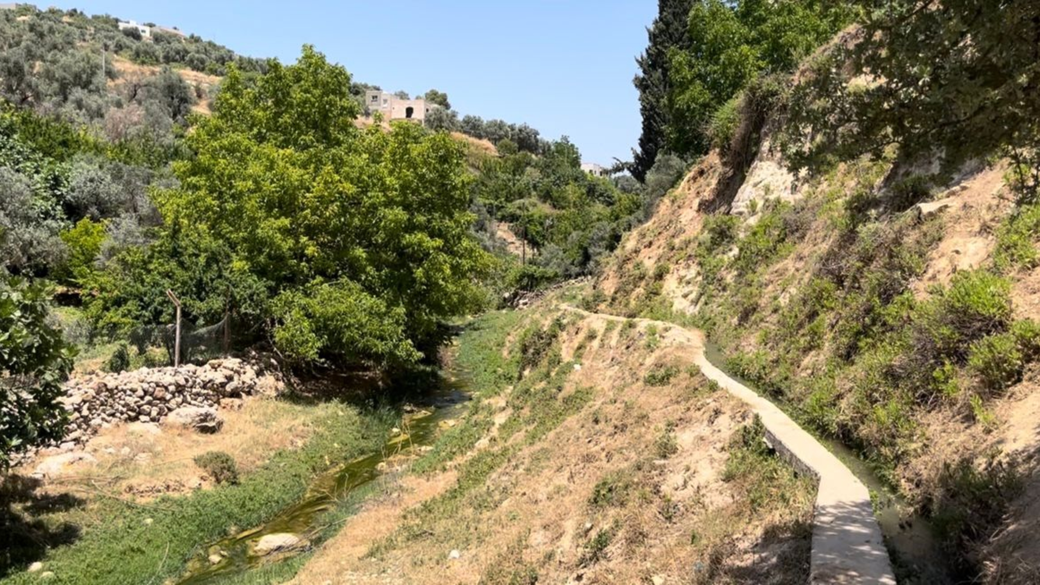 وادي العريس في كفرنجة ذاكرة الأفراح الشعبية ومشهد الطبيعة المتجددة