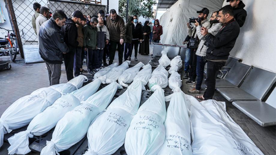 دراسة: استشهاد 4% من سكان غزة وحصيلة الإبادة تتجاوز 75 ألفاً 