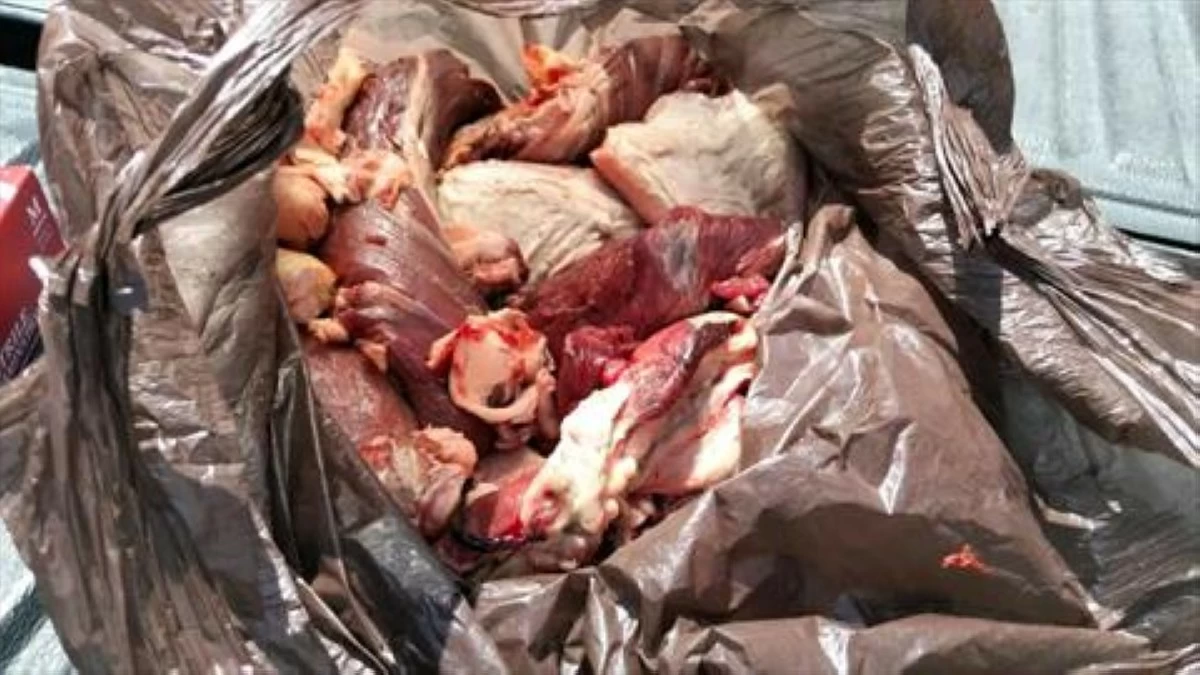 ضبط لحوم غير صالحة للاستهلاك في المفرق