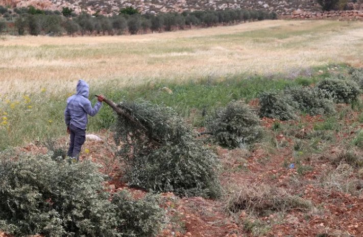 مستوطنون يعتدون على الفلسطينيين غرب سلفيت