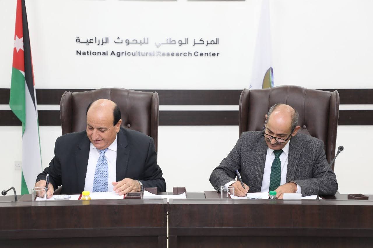 الرواشدة: بناء قدرات 90 باحثًا وفنيًا (دورات زراعية متقدمة )، و45 طالبًا من الجامعات