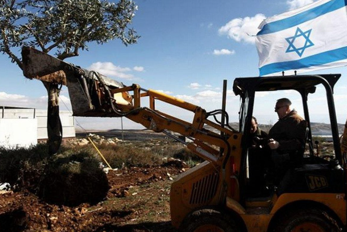 مستوطنون يجرِّفون أراضٍ زراعيَّة للفلسطينيين شرقي جنين 