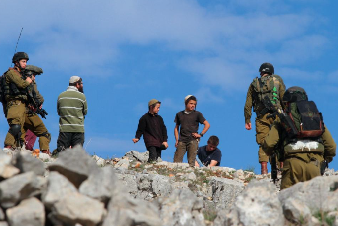 مستوطنون يهاجمون مزارعًا فلسطينيًا في الأغوار الشمالية