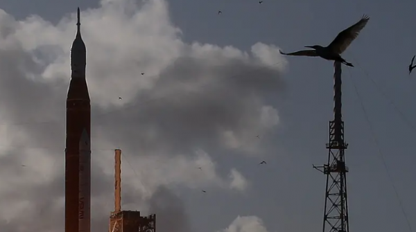 انطلاق أربعة رواد فضاء نحو القمر  ..  لأول مرة منذ نصف قرن