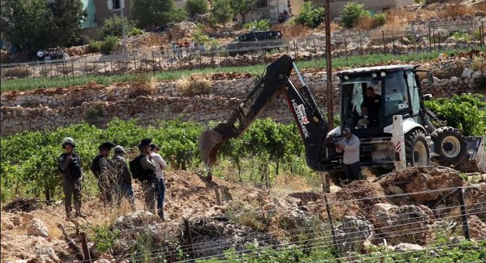 سلطات الاحتلال تصدر قرارا باقتلاع أشجار من أراض غربي رام الله